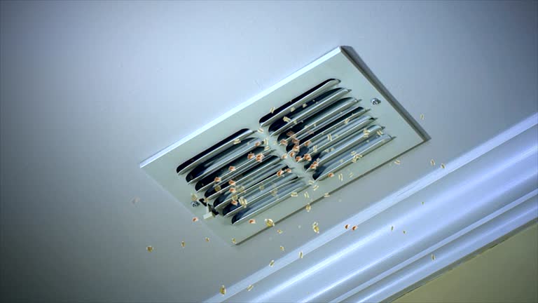  Nes, IL Airduct Cleaning Pros