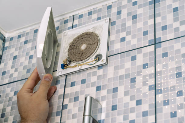 Best Affordable Duct Cleaning Services  in Nes, IL