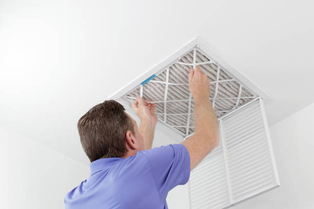 Best Ventilation Cleaning Services  in Nes, IL